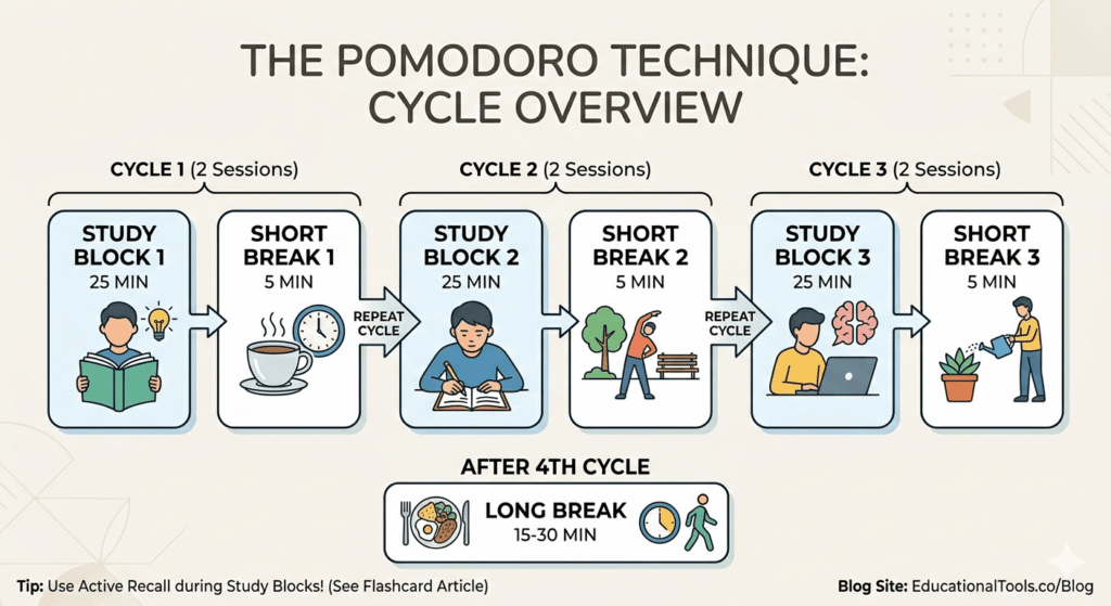 Pomodoro study session structure for effective flashcard review
